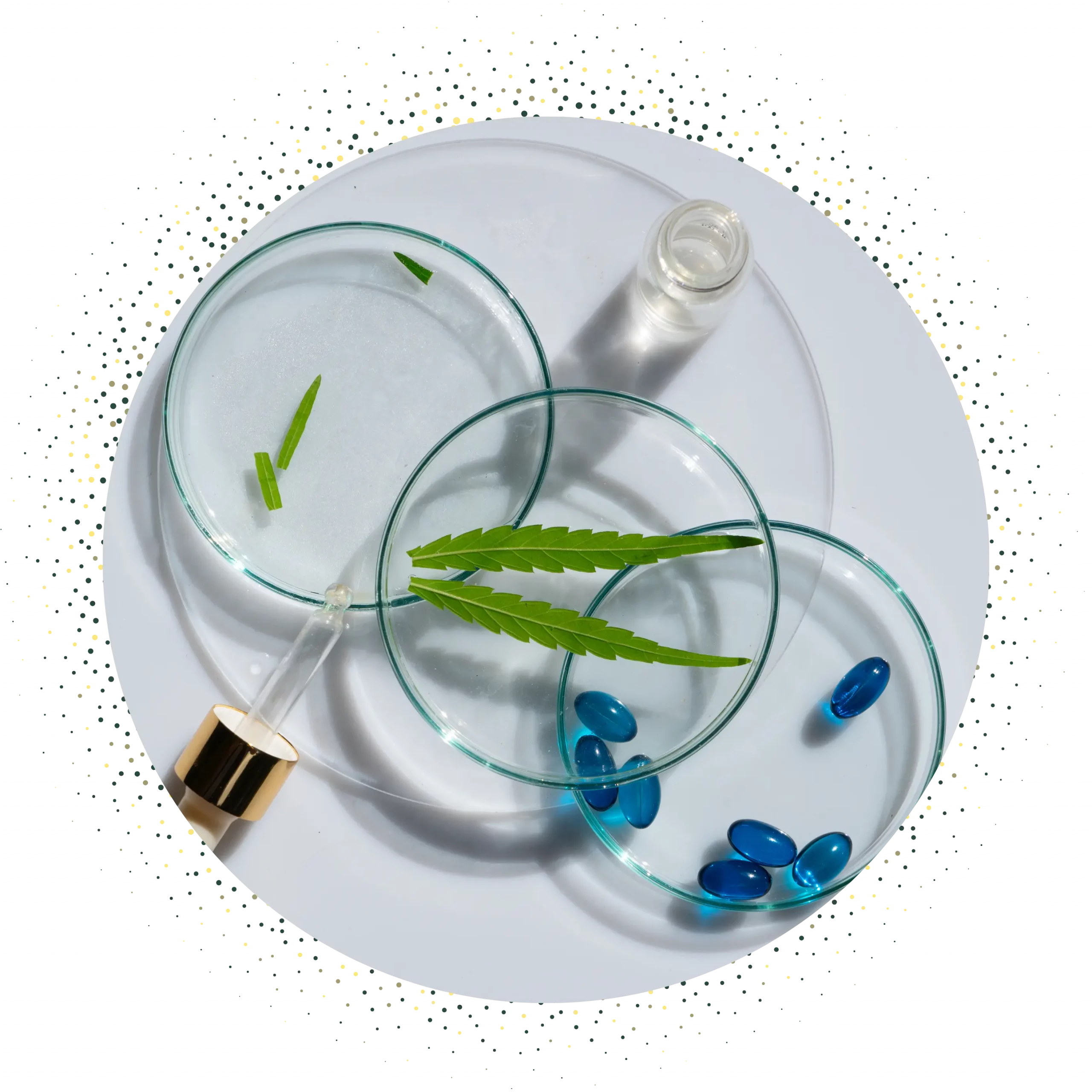 Biorevitalisation (1)
